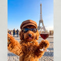 Paris Selfie Stil