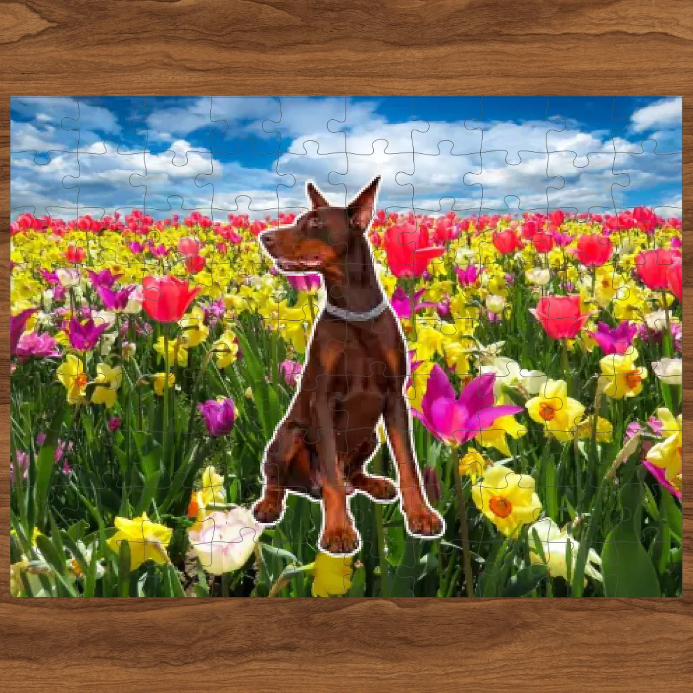 Haustier Puzzle