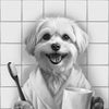 Personalisiertes Tierportrait im Badezimmer mit Zahnbürste