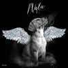 Personalisiertes Portrait - Diamant Engel Stil - PawsLife